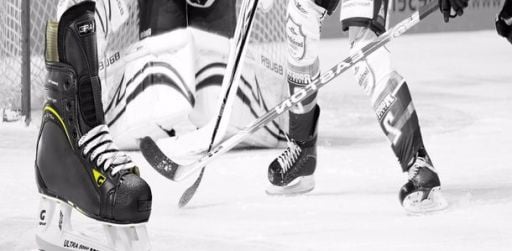 HOKEY MALZEMELERİ